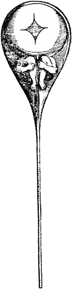 Figure 1. Nicolas Hartsoeker’s homunculus (1694). Public domain. Source: Lawrence (2008a), Embryo Project Encyclopedia.